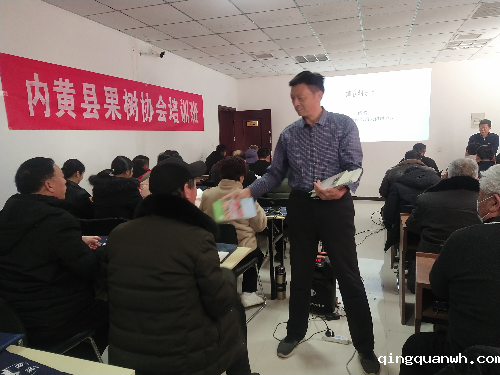 图片2_副本
